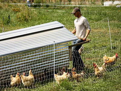 moving mobile chicken coop